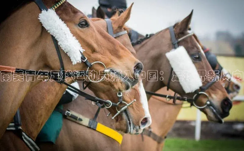 欧陆登录网址一径科技南美青年足球运动员涌入中国：足球界新风向