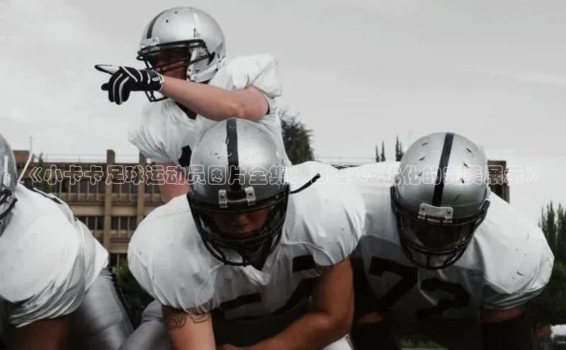 欧陆娱乐平台登录元隆雅图《小卡卡足球运动员图片全集：百度seo优化的完美展示》