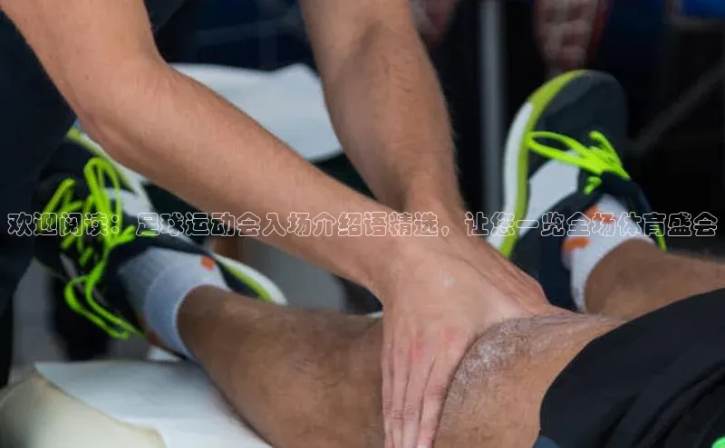 欧陆娱乐app下载阿里尔公司欢迎阅读：足球运动会入场介绍语精选，让您一览全场体育盛会