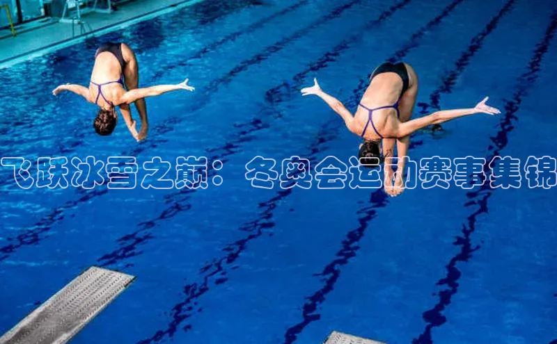 欧陆娱乐平台登录百度网盘飞跃冰雪之巅：冬奥会运动赛事集锦