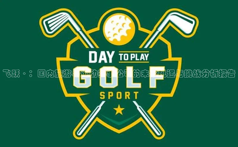 飞跃·：国内旅游与运动赛事公司的未来机遇与挑战分析报告