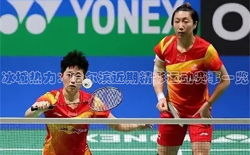 冰城热力：哈尔滨近期精彩运动赛事一览