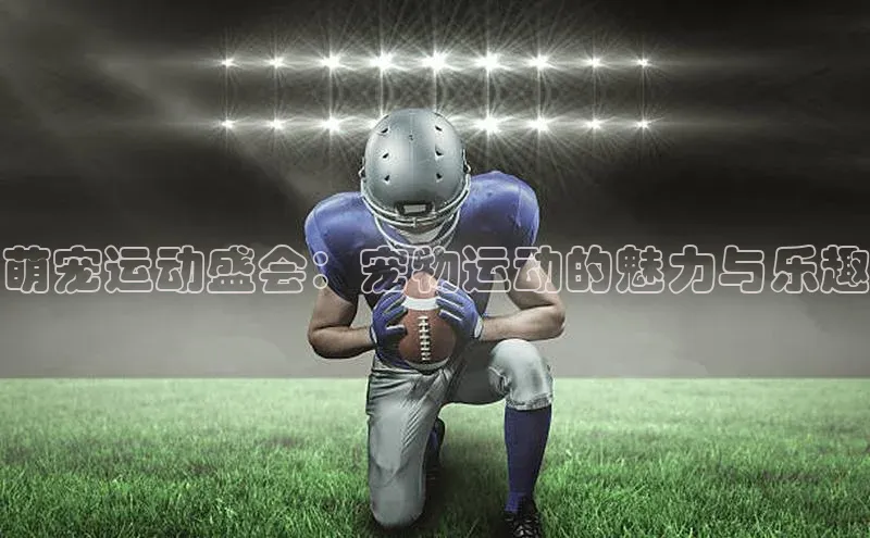 萌宠运动盛会：宠物运动的魅力与乐趣