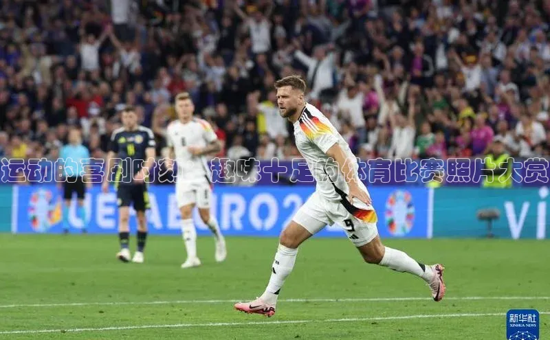 运动的喜剧时刻：趣味十足的体育比赛照片大赏