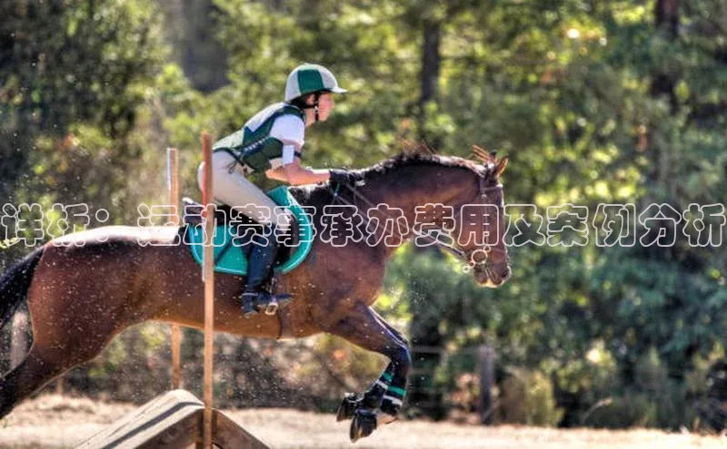 详析：运动赛事承办费用及案例分析