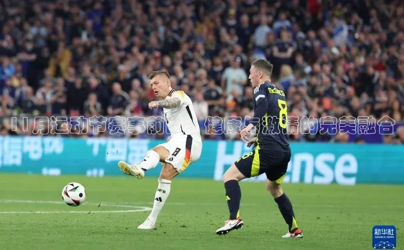 11月运动节赛事前瞻：健康与激情的完美融合