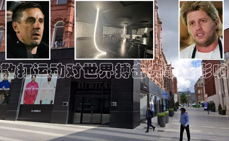 散打运动对世界搏击赛事的影响