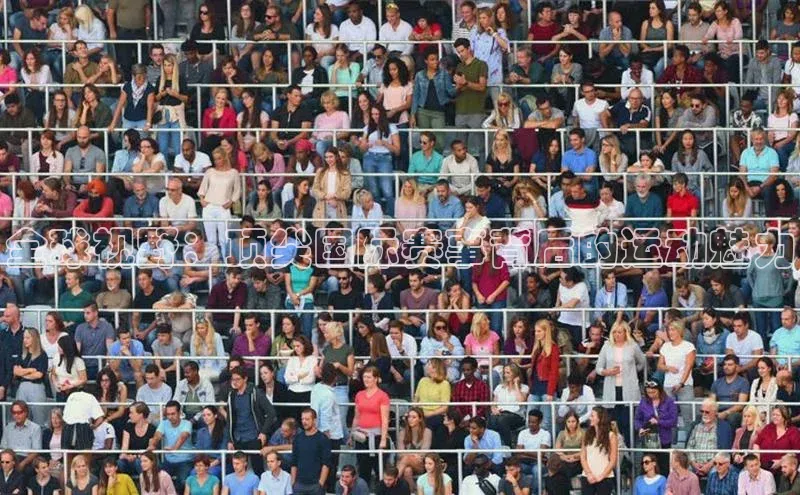 全球视野：顶尖国际赛事背后的运动魅力