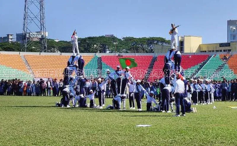 军运会赛事日程与安排详解：让你的军事体育活动丰富多彩