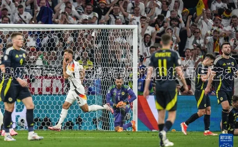 赛场风云：运动赛事解说的技巧与艺术