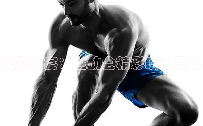 光影盛宴：运动会精彩瞬间呈现