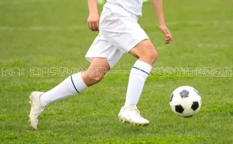 竞走：速度与耐力的极限——一场跨越地域的心灵之旅